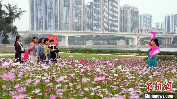 广西南宁春意盎然民众“花”样觅春光
